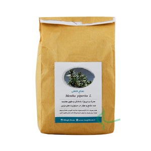 نعناع فلفلی باغ فیروزه پاکتی 75 گرم