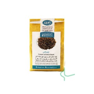 تخم کتان باغ فیروزه پاکتی 150 گرم