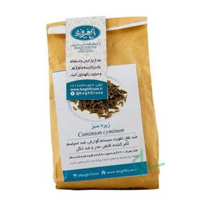 زیره سبز باغ فیروزه پاکتی 100 گرم