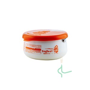 ماست پرچرب چکیده ی ارگانیک آقای طبیعی 450 گرم