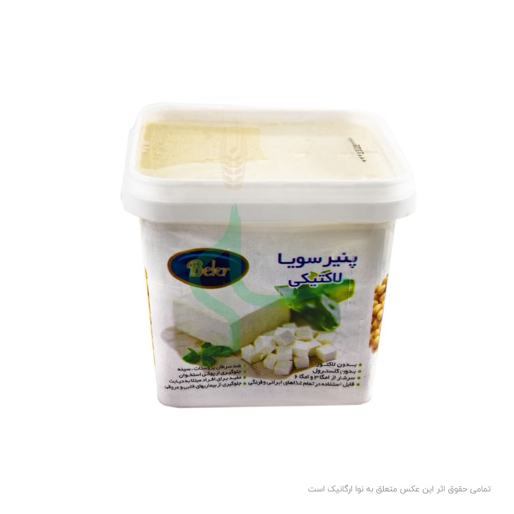 پنیر تافو بکر 450 گرم