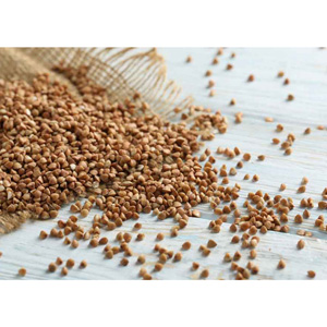 گندم سیاه هانی فود 1 کیلوگرم