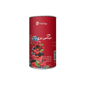 پودر میکس بری پپتینا 50 گرم